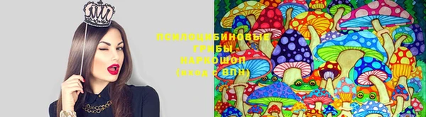 амфетамин Арсеньев