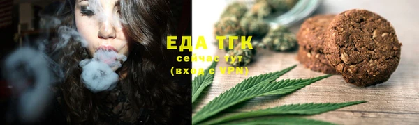 индика Аркадак
