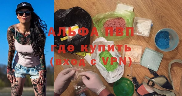 индика Аркадак