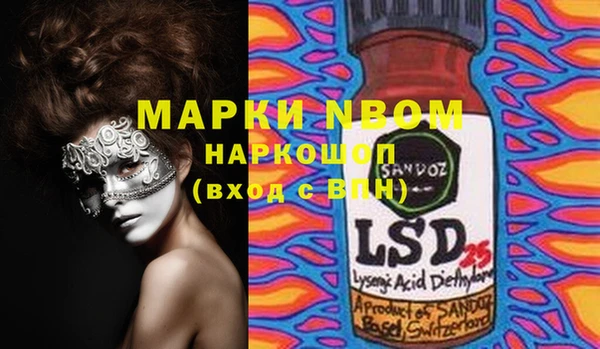 индика Аркадак