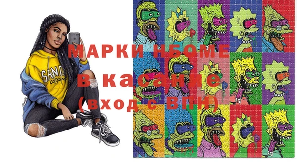 индика Аркадак