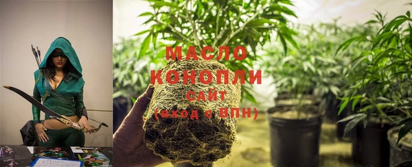 индика Аркадак