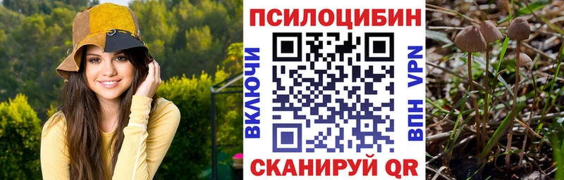 Псилоцибиновые грибы мицелий  Пошехонье 